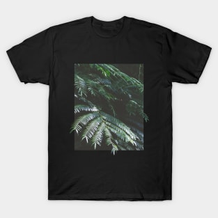 Fern Growth T-Shirt
